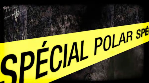 Spécial Polar